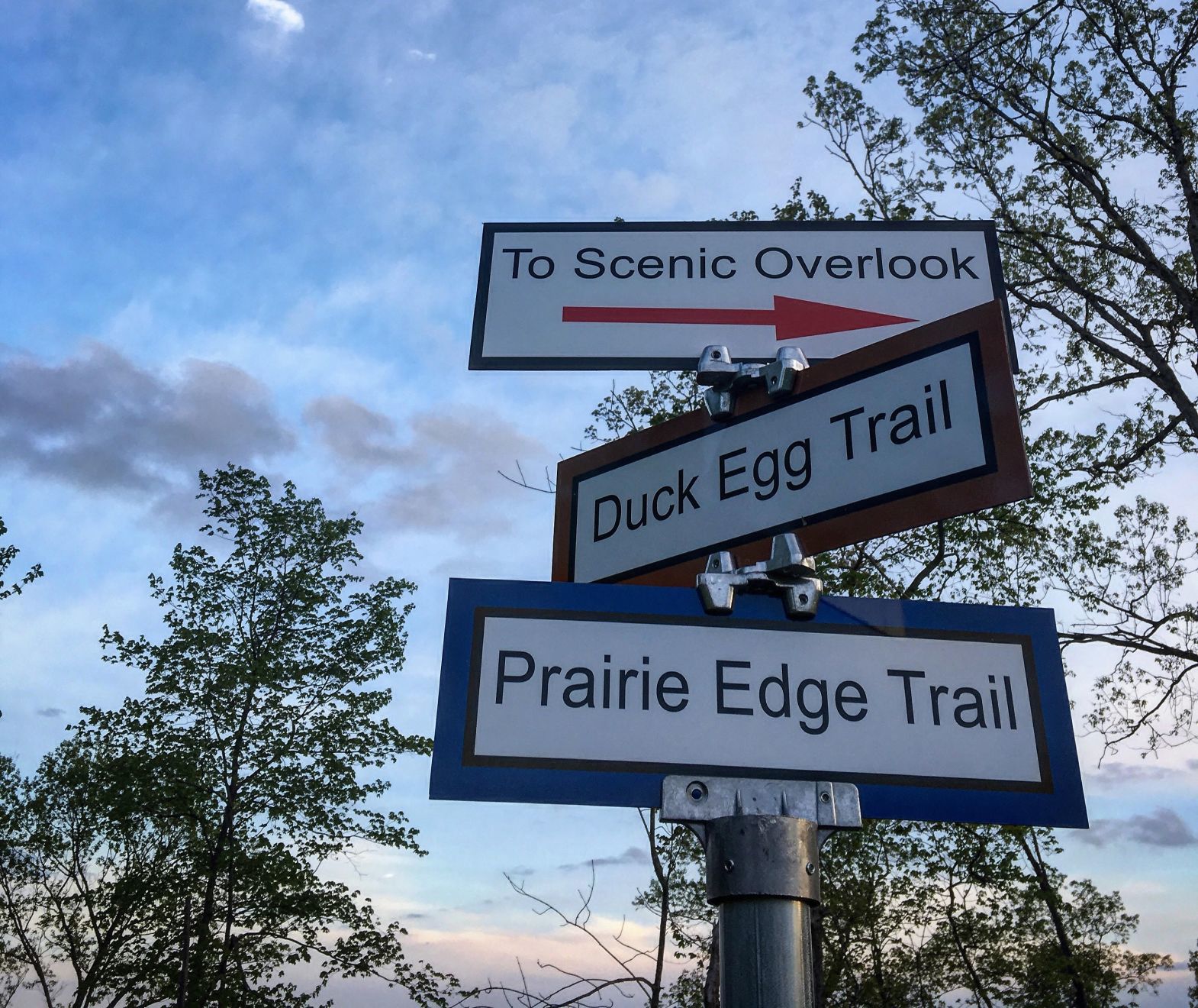 Duck Egg signage